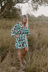 CASSI